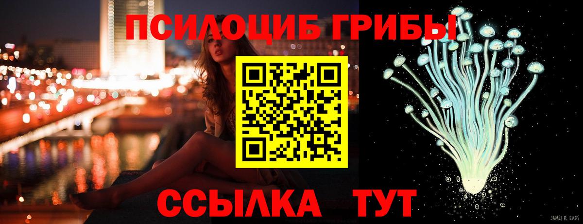 Галлюциногенные грибы прущие грибы Кунгур